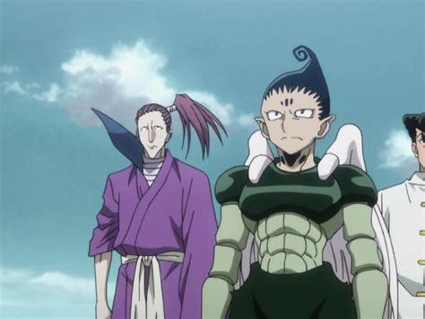 hunter x hunter 2011 season 6|hunter x hunter episode 29.